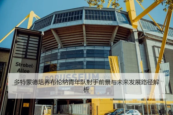 多特蒙德培养布伦纳青年队射手前景与未来发展路径解析